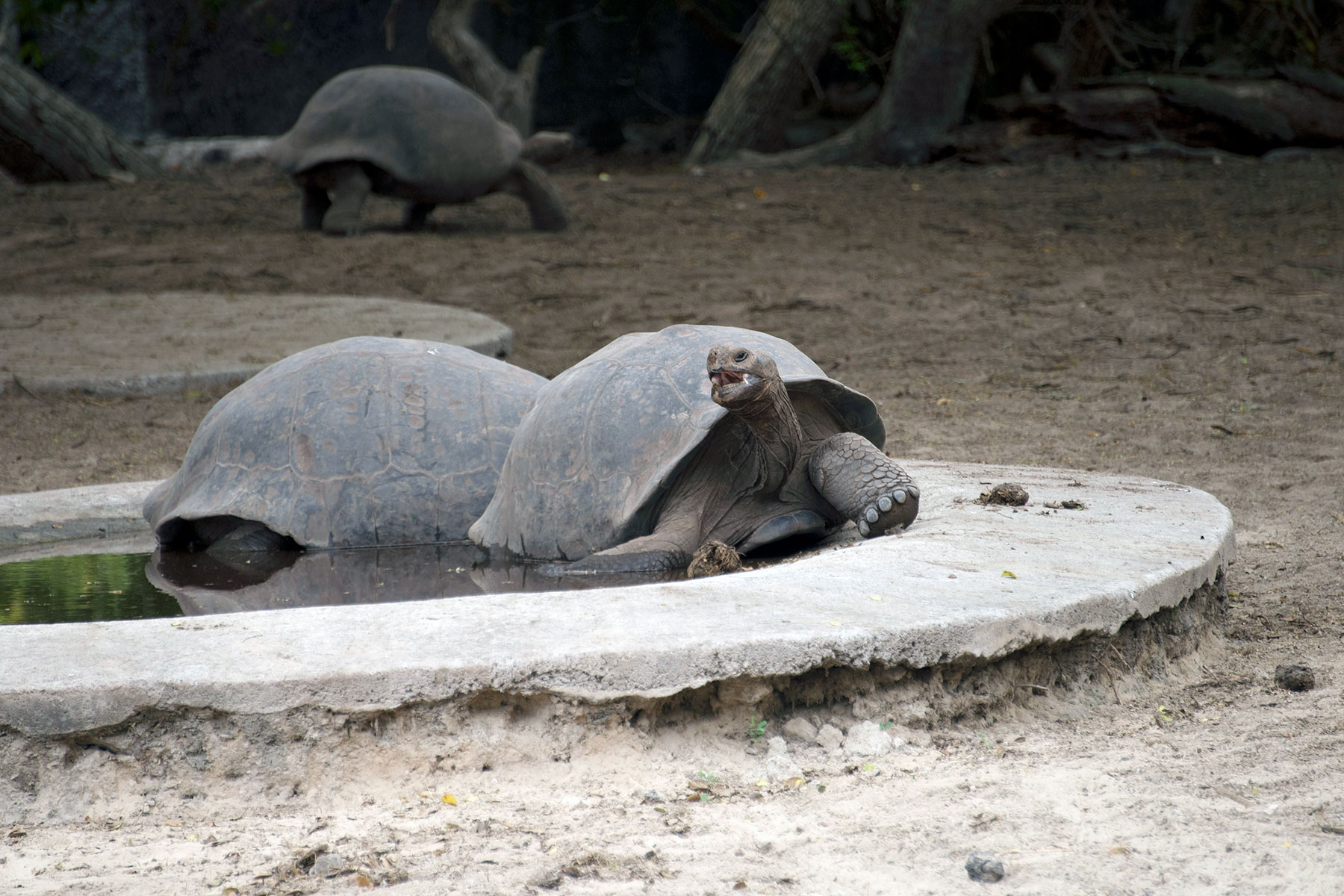 Creative lab: movement and painting